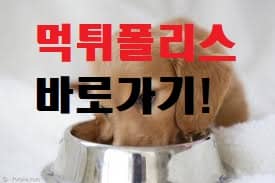 먹튀폴리스